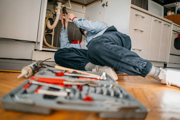 Best Plumbing Inspection Services  in North Hills, NY